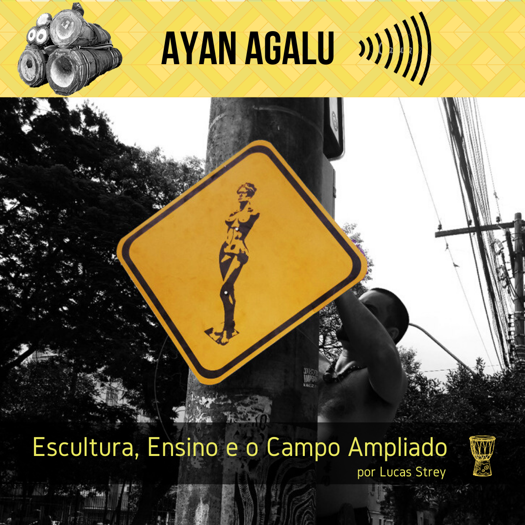 Escultura, Ensino e o Campo Ampliado